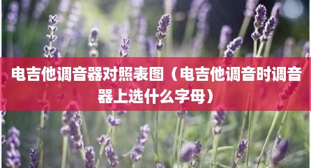 电吉他调音器对照表图（电吉他调音时调音器上选什么字母）