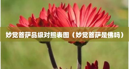 妙觉菩萨品级对照表图（妙觉菩萨是佛吗）