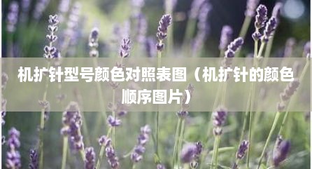 机扩针型号颜色对照表图（机扩针的颜色顺序图片）