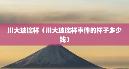 川大玻璃杯（川大玻璃杯事件的杯子多少钱）
