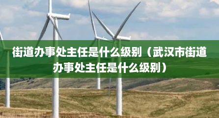街道办事处主任是什么级别（武汉市街道办事处主任是什么级别）