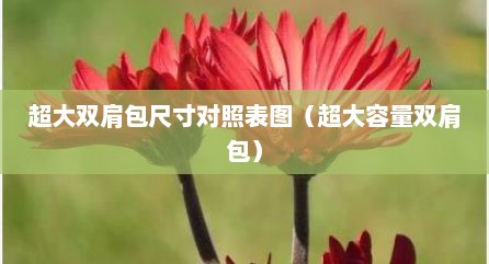 超大双肩包尺寸对照表图（超大容量双肩包）