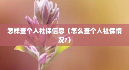 怎样查个人社保信息（怎么查个人社保情况?）