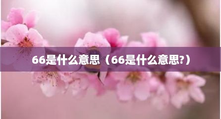 66是什么意思（66是什么意思?）