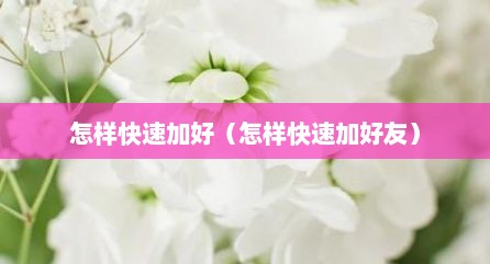 怎样快速加好（怎样快速加好友）