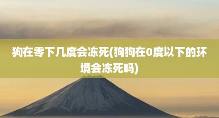 狗在零下几度会冻死(狗狗在0度以下的环境会冻死吗)