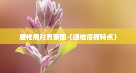 腰椎痛对照表图（腰椎疼痛特点）