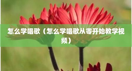 怎么学唱歌（怎么学唱歌从零开始教学视频）