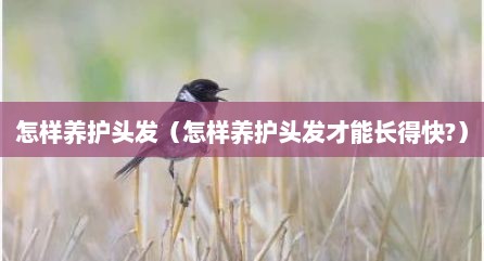 怎样养护头发（怎样养护头发才能长得快?）