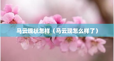 马云现状怎样（马云现怎么样了）