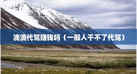 滴滴代驾赚钱吗（一般人干不了代驾）