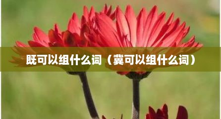 既可以组什么词（冀可以组什么词）