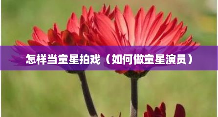 怎样当童星拍戏（如何做童星演员）