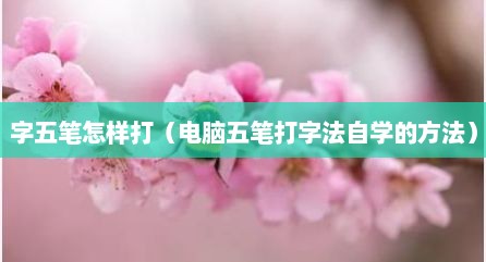 字五笔怎样打（电脑五笔打字法自学的方法）