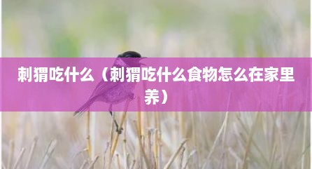 刺猬吃什么（刺猬吃什么食物怎么在家里养）
