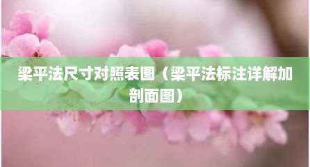 梁平法尺寸对照表图（梁平法标注详解加剖面图）