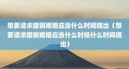 想要请求撤销婚姻应当什么时间提出（想要请求撤销婚姻应当什么时候什么时间提出）