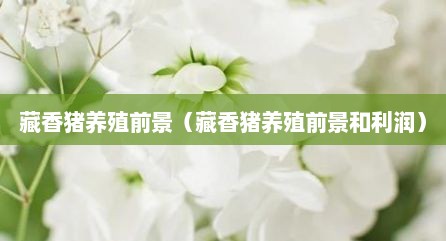 藏香猪养殖前景（藏香猪养殖前景和利润）