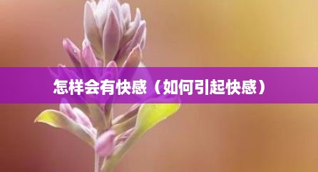 怎样会有快感（如何引起快感）