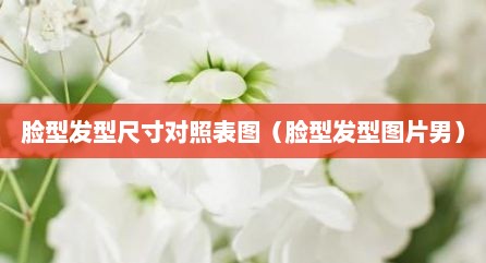 脸型发型尺寸对照表图（脸型发型图片男）