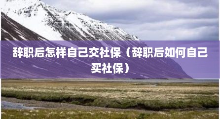 辞职后怎样自己交社保（辞职后如何自己买社保）
