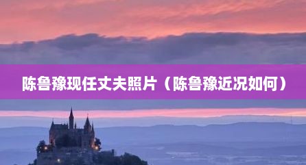 陈鲁豫现任丈夫照片（陈鲁豫近况如何）