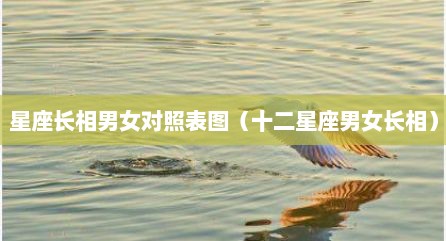 星座长相男女对照表图（十二星座男女长相）