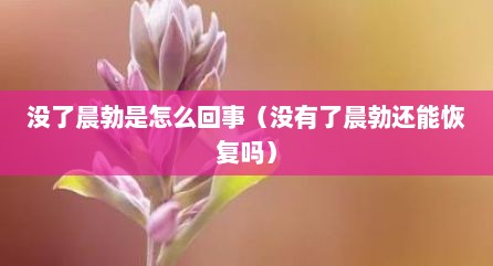 没了晨勃是怎么回事（没有了晨勃还能恢复吗）