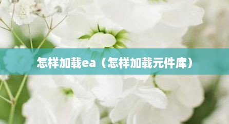 怎样加载ea（怎样加载元件库）