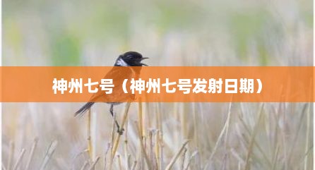神州七号（神州七号发射日期）