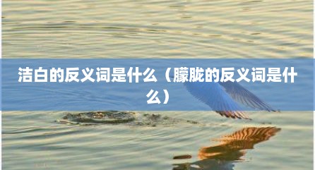 洁白的反义词是什么（朦胧的反义词是什么）