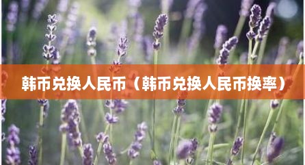 韩币兑换人民币（韩币兑换人民币换率）