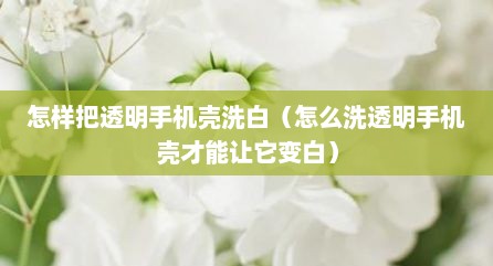 怎样把透明手机壳洗白（怎么洗透明手机壳才能让它变白）