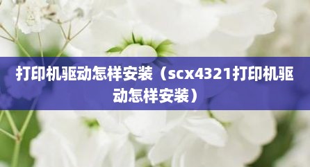 打印机驱动怎样安装（scx4321打印机驱动怎样安装）
