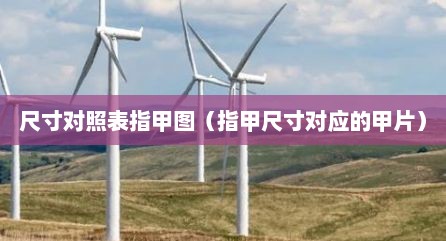 尺寸对照表指甲图（指甲尺寸对应的甲片）