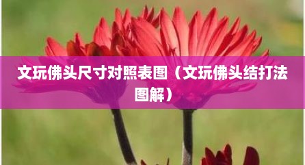 文玩佛头尺寸对照表图（文玩佛头结打法图解）