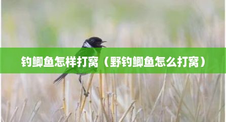 钓鲫鱼怎样打窝（野钓鲫鱼怎么打窝）