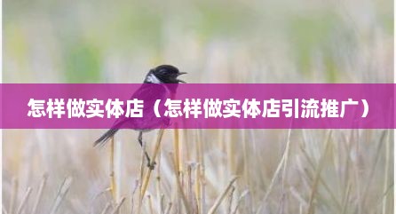 怎样做实体店（怎样做实体店引流推广）