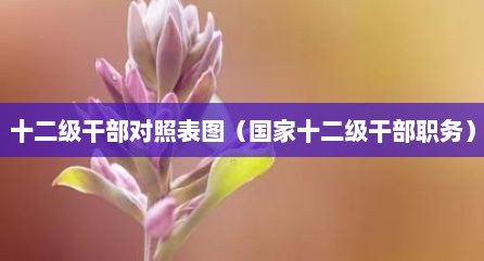 十二级干部对照表图（国家十二级干部职务）