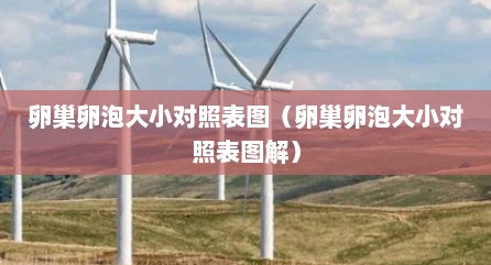 卵巢卵泡大小对照表图（卵巢卵泡大小对照表图解）