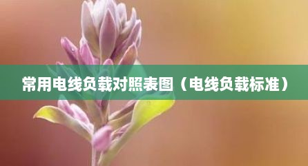 常用电线负载对照表图（电线负载标准）