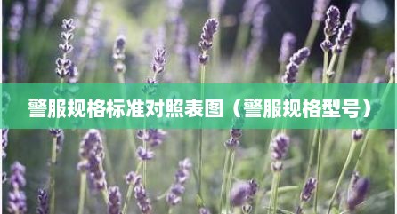 警服规格标准对照表图（警服规格型号）