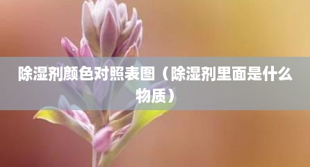除湿剂颜色对照表图（除湿剂里面是什么物质）