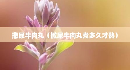 撒尿牛肉丸（撒尿牛肉丸煮多久才熟）