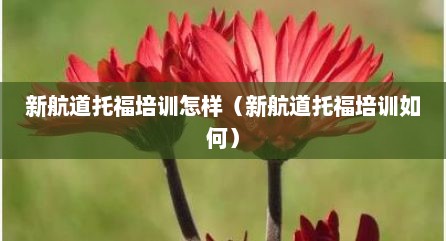 新航道托福培训怎样（新航道托福培训如何）