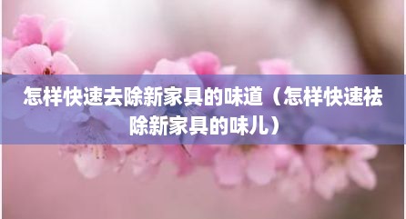 怎样快速去除新家具的味道（怎样快速祛除新家具的味儿）