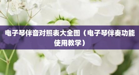 电子琴伴音对照表大全图（电子琴伴奏功能使用教学）