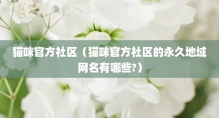 猫咪官方社区（猫咪官方社区的永久地域网名有哪些?）