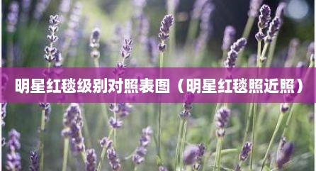 明星红毯级别对照表图（明星红毯照近照）