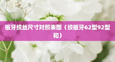 板牙绞丝尺寸对照表图（绞板牙62型92型和）